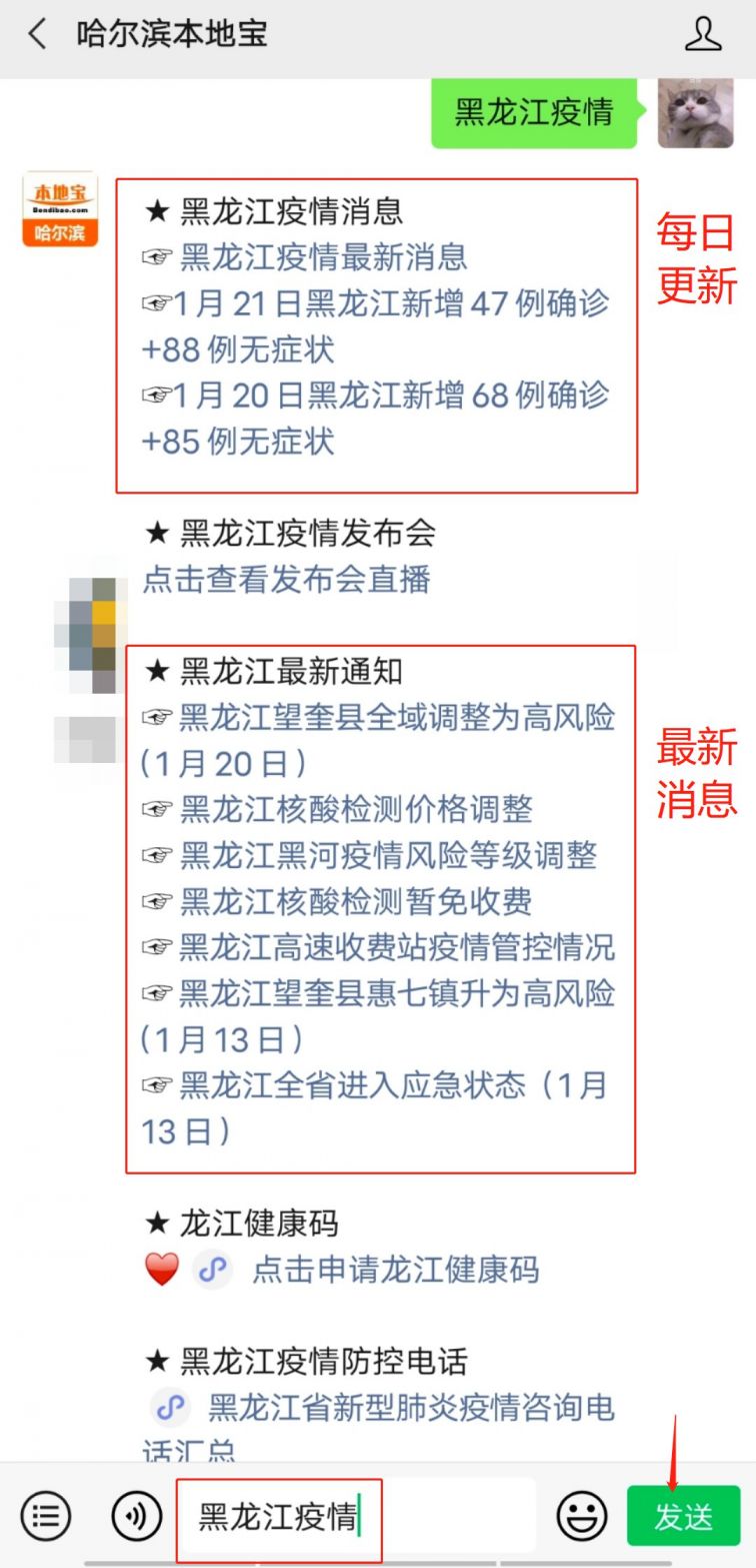 黑龙江省疫情实时更新，最新动态、防控措施与市民应对指南