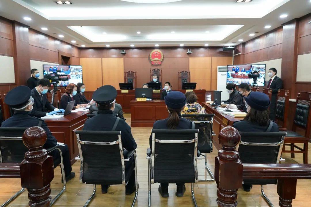 黑龙江省役情防控，挑战、应对与未来展望