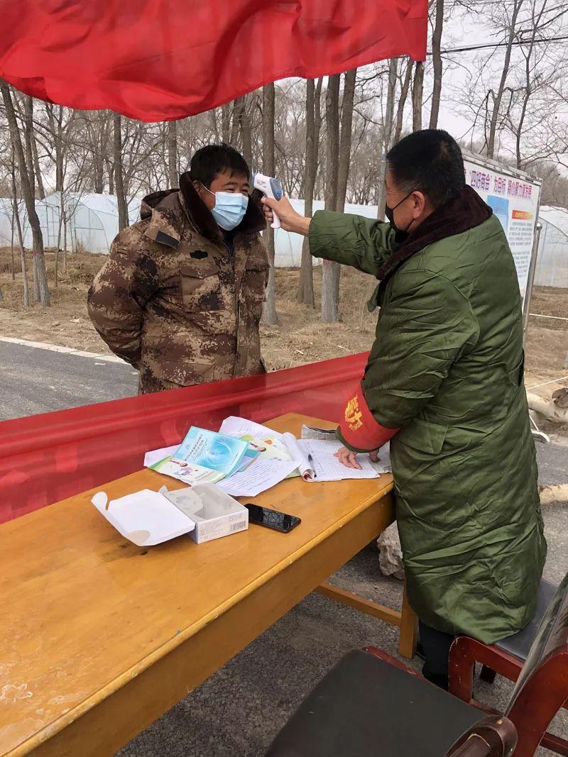 宁夏回族自治区疫情政策解析，精准防控与民生保障的双重实践