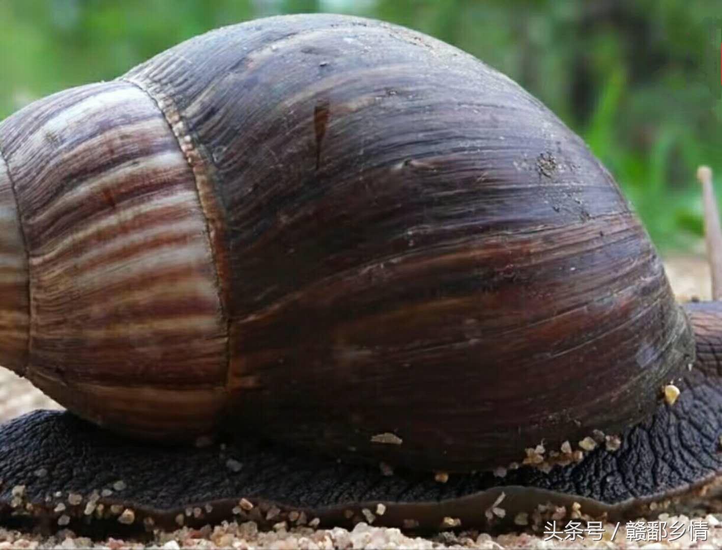 广西区福州要隔离吗？最新防疫政策解析