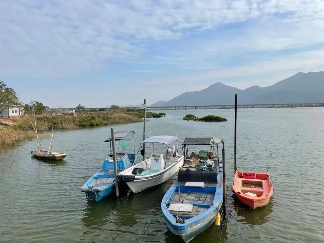 广西有入海口吗？探秘广西的海岸线与水系格局