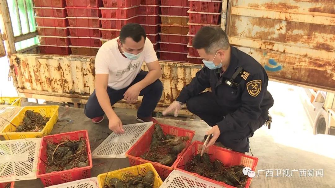 广西壮族自治区疫情最新动态，风险区域与防控措施解析