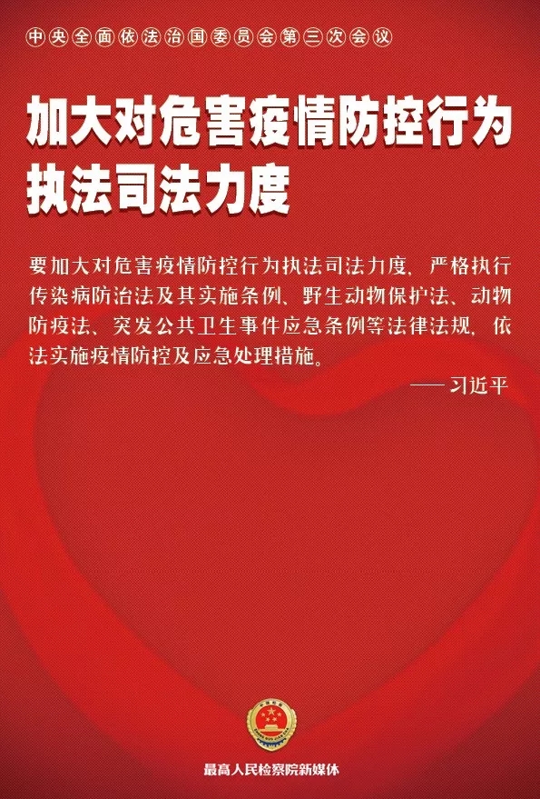 澳门最新防疫政策解析，科学防控与民生保障并重
