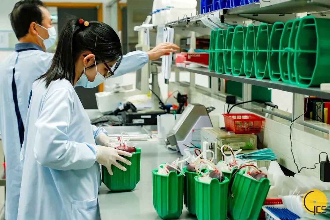 澳门地区疫情与兰州防疫政策的联动与启示