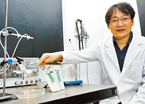 澳门疫情分布图解析，防控措施与区域风险分析