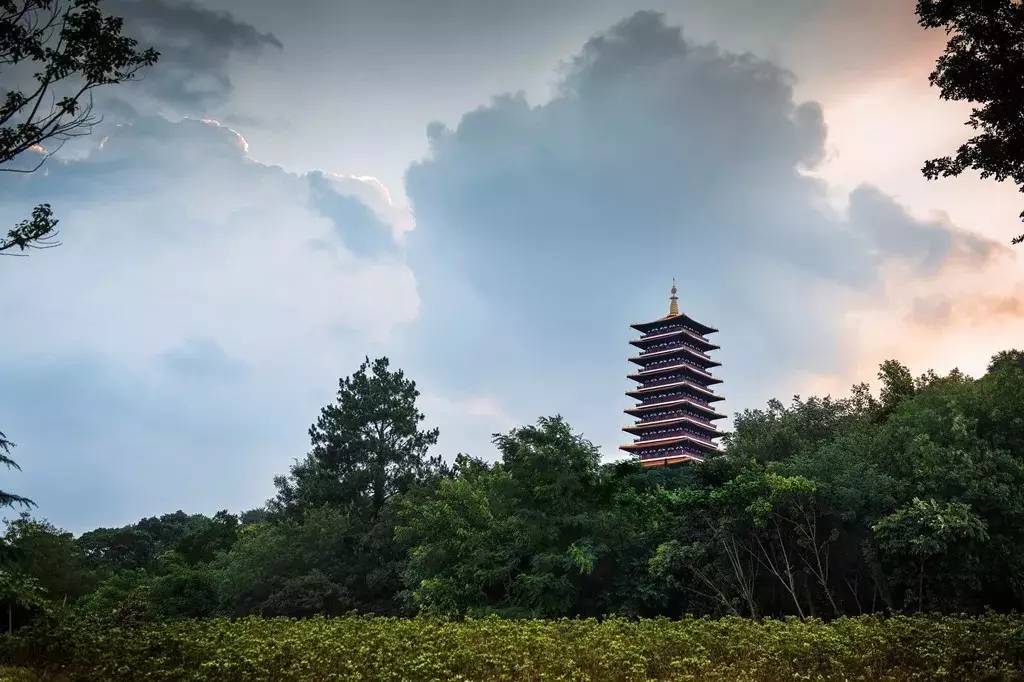 从草原到濠江，呼和浩特至澳门的文化之旅