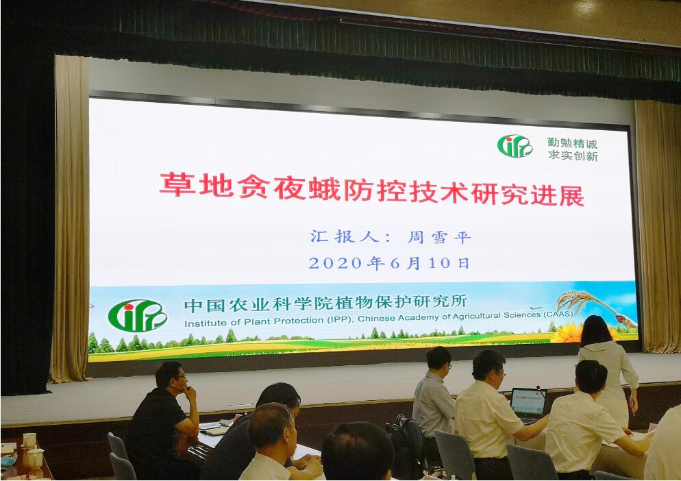 澳门防疫措施，科学防控与民生保障的双重实践