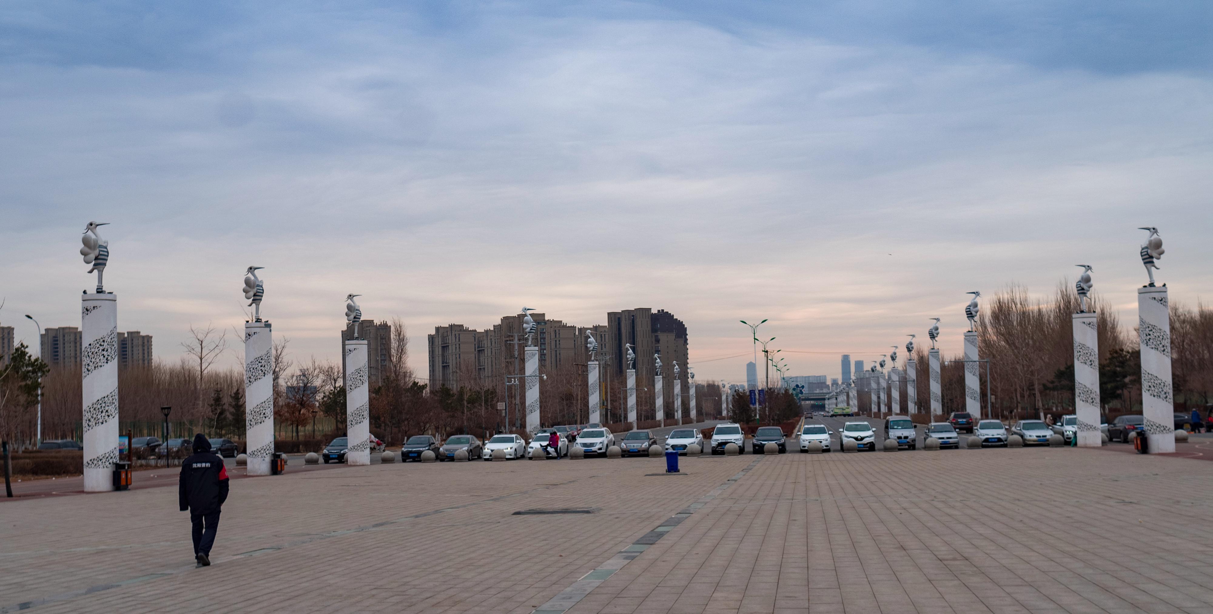 河南省疫情防控稳步推进，沈阳最新措施强化精准防控