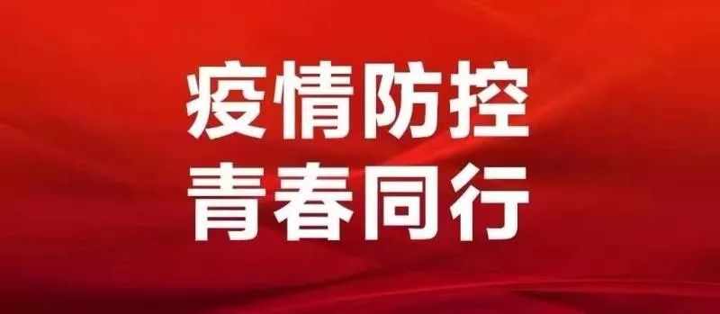 河南省疫控，科学防控与全民参与的典范