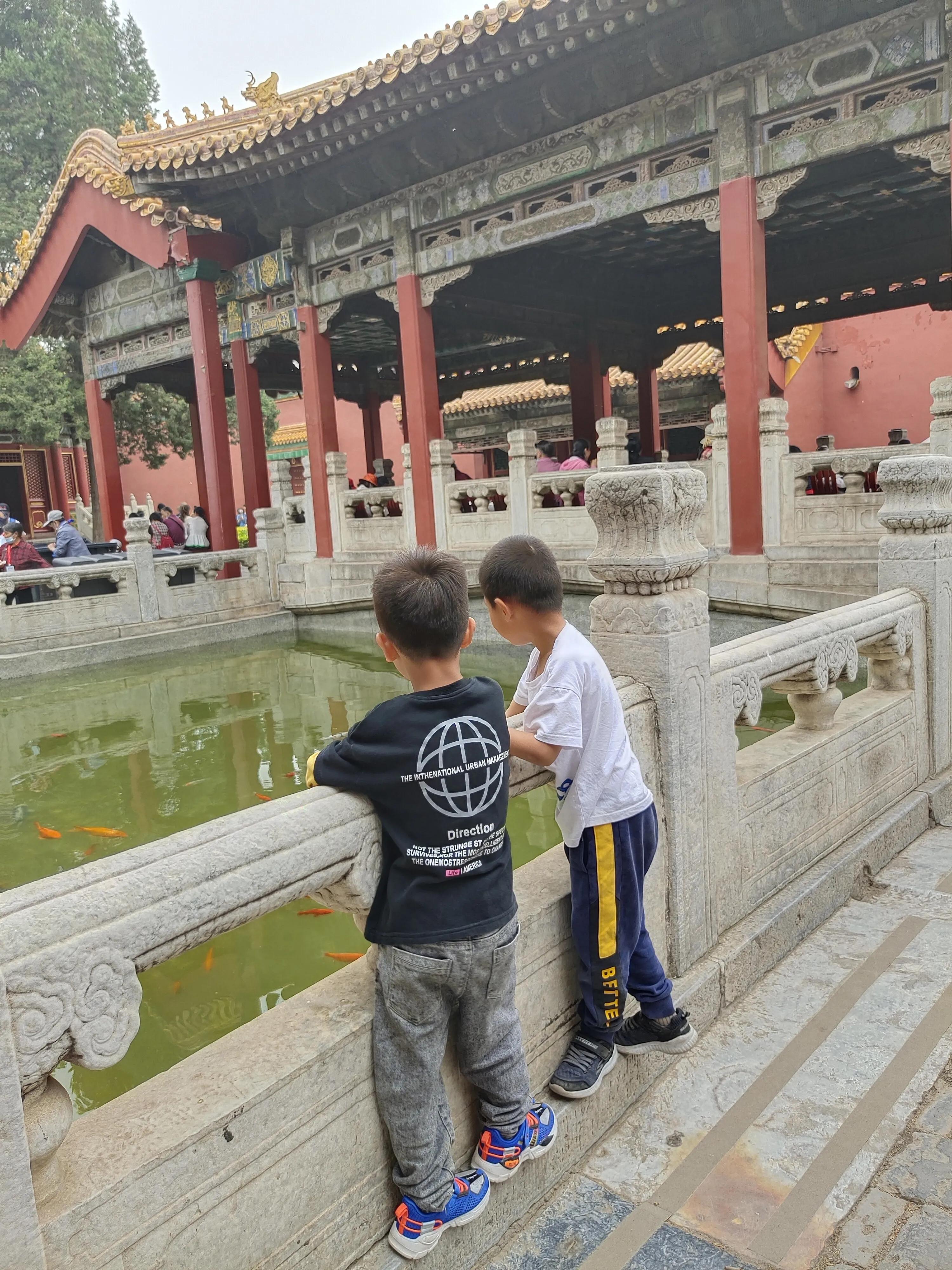 北京疫苗在郑州可以接种吗？疫情下跨区域疫苗接种指南