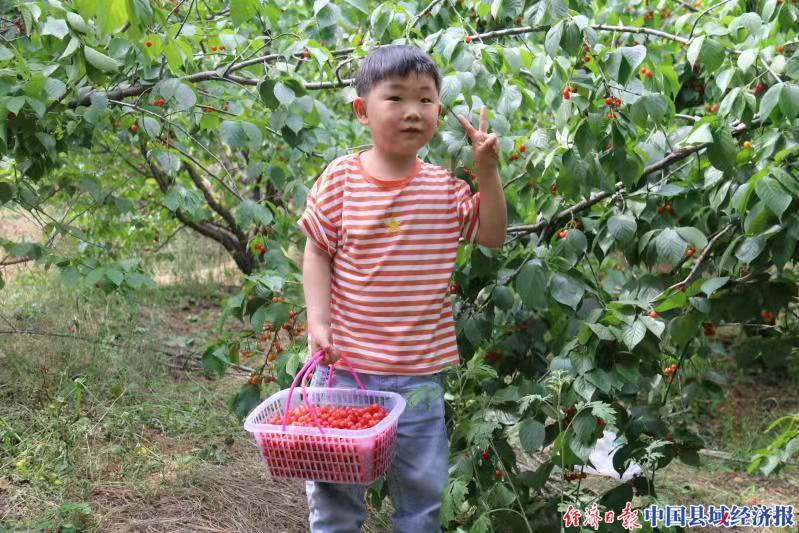 河南省疫情防控指挥部最新通告解读，科学防控与精准施策并举