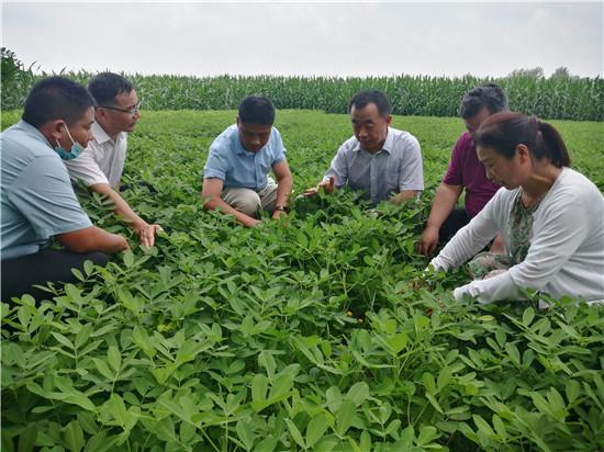 河南省发布疫情防控紧急通知，全面加强防控措施应对疫情挑战