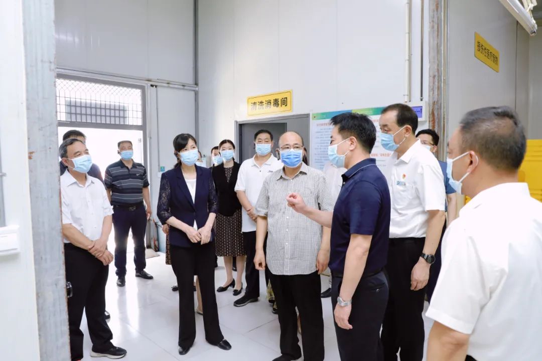 河南省卫健委疾控处处长，守护公共卫生安全的坚强卫士