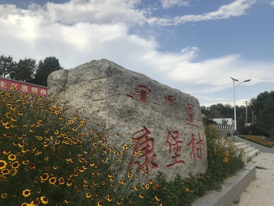 呼和浩特村委会信息查询指南，便民服务与数字化建设