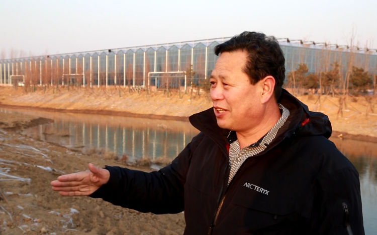 南石家庄村书记，扎根乡土践初心，振兴路上写担当