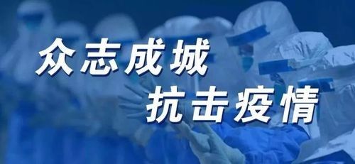 疫情下的逃离，从北京跑回呼和浩特，是无奈还是明智？