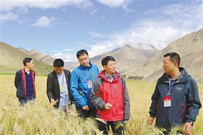 河南省援建西藏那曲地区，雪域高原上的深情厚谊