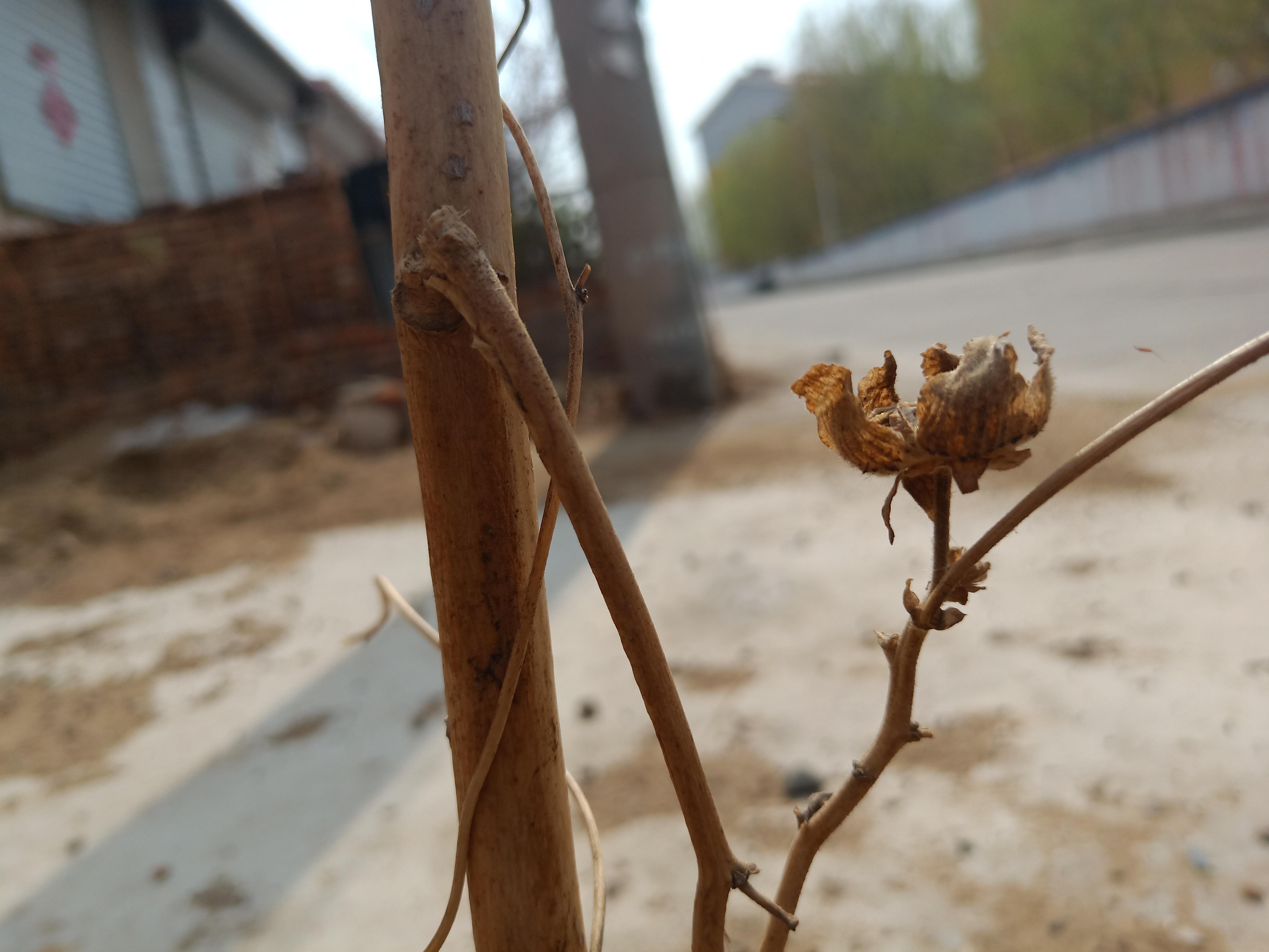 香港特区疫情最新数据与昆明天气动态，双城记下的健康与生活指南