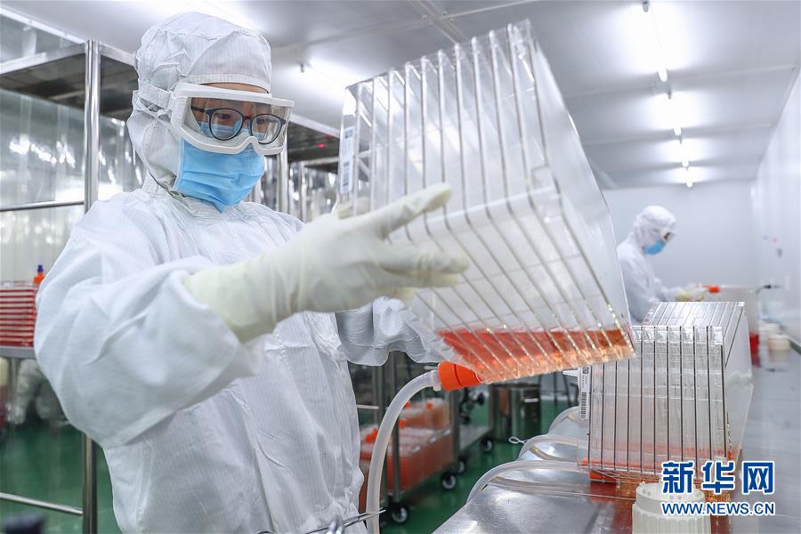 北京与长春，中国疫苗研发与生产双城的抗疫担当
