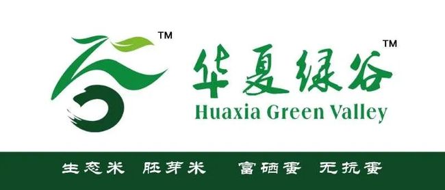 哈尔滨疫情封城何时解除？最新动态与未来展望