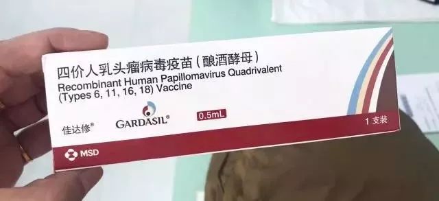 北京有没有兰州疫苗？深度解析疫苗供应与接种政策