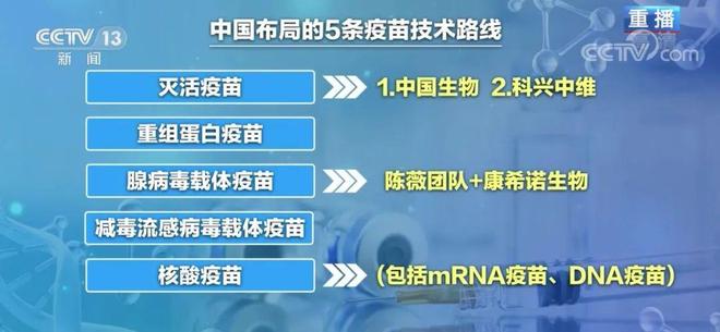 石家庄接种的疫苗为何是北京生物？解析国产疫苗的分布与选择