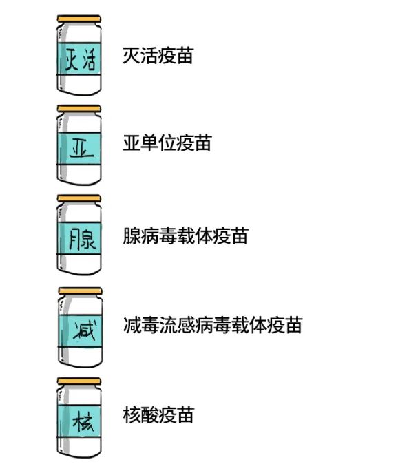 北京疫苗和四川疫苗一样吗?解析国内新冠疫苗的异同 北京疫苗和四川疫苗一样吗?解析国内新冠疫苗的异同