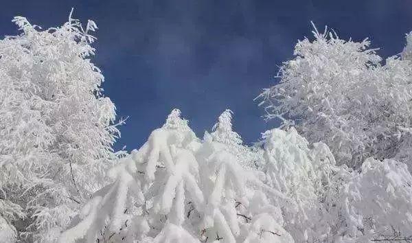 京津联动共筑免疫屏障，疫苗接种的成效与未来展望