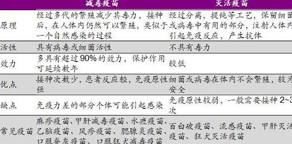 北京疫苗与上海疫苗，双城防疫策略的比较与展望