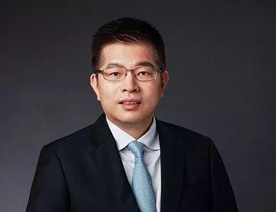 香港政府抗疫网站，数字化抗疫的重要平台与未来展望