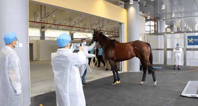 香港疫情防控，成效、挑战与未来展望