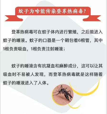 沈阳感染死亡:沈阳感染死亡病例