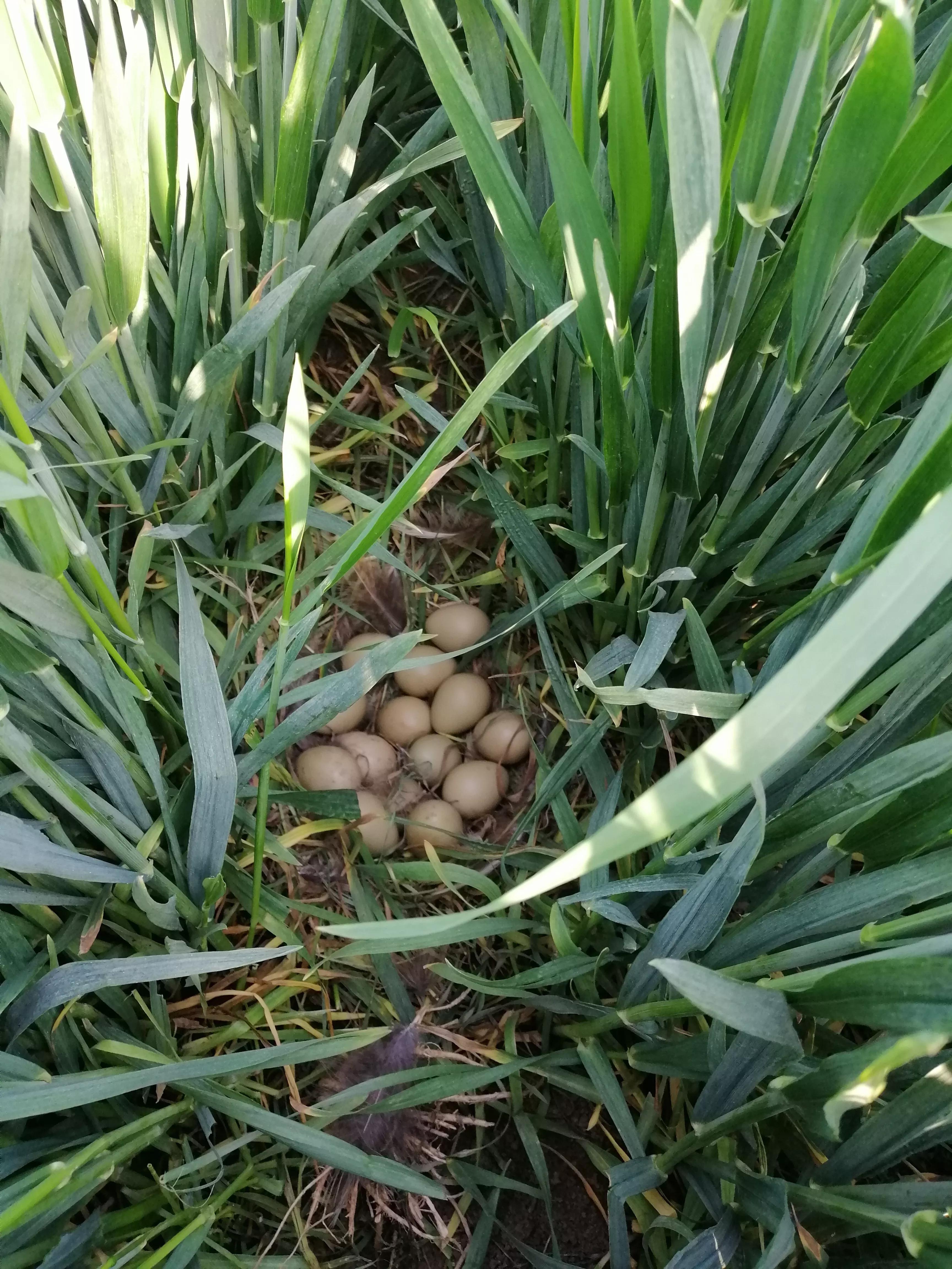 济南疫情封城了吗/济南疫情封城了吗今天