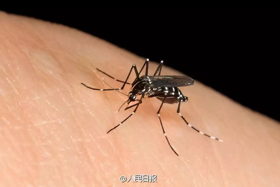 疫情合肥死亡人数广州多少/合肥新冠多少人