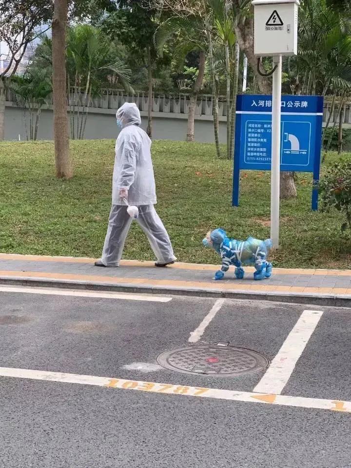 武汉省疫情最新消息人数/武汉省疫情最新消息人数查询