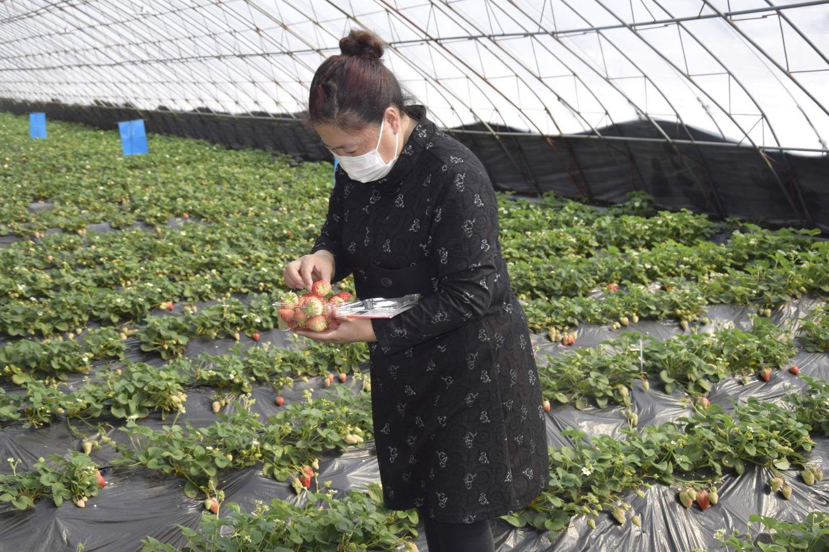 吉林省疫情情况报告最新:吉林省疫情最新动态图