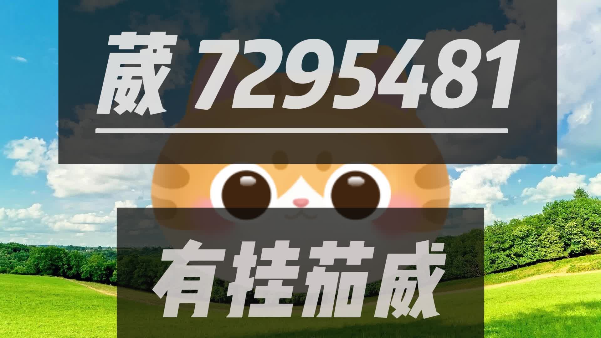 辅助神器“陕麻圈辅助器安装免费”详细教程辅助工具
