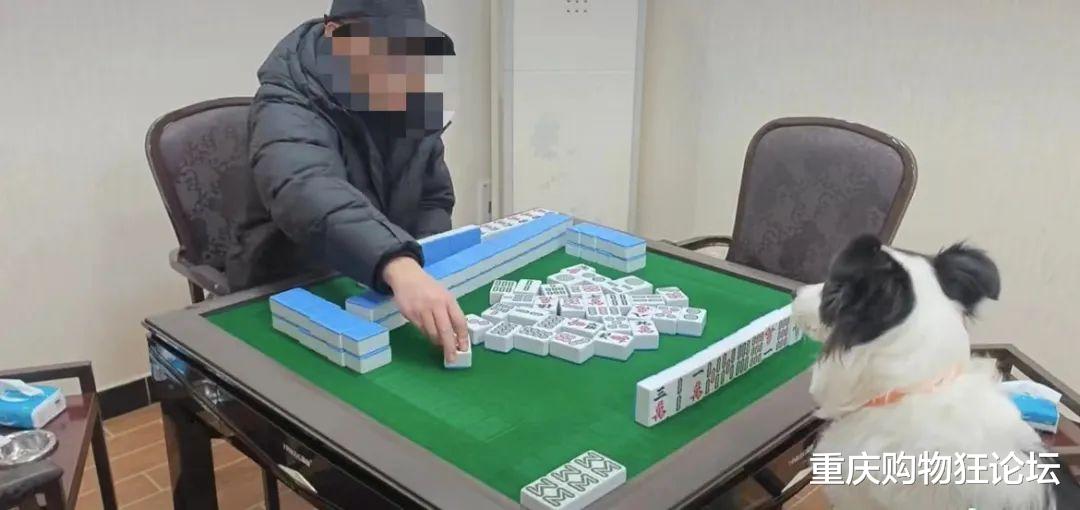 教程辅助“途游四川麻将可以买挂吗”详细教程辅助工具