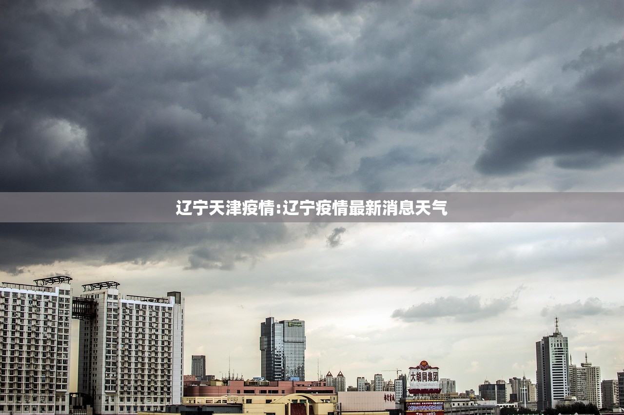 北京一村霸当上村支书/北京一村支书被打黑