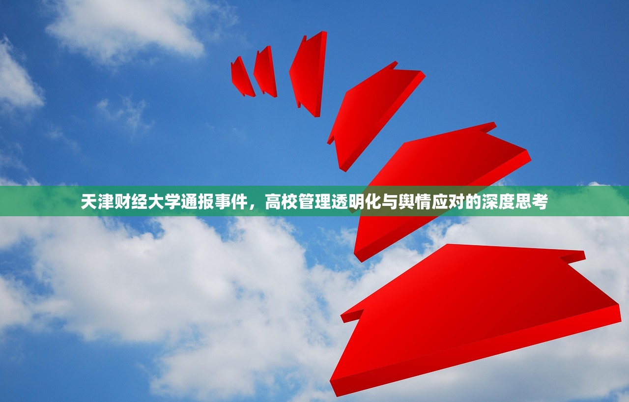 天津财经大学通报事件，高校管理透明化与舆情应对的深度思考