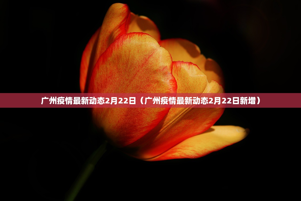 广州疫情最新动态2月22日（广州疫情最新动态2月22日新增）