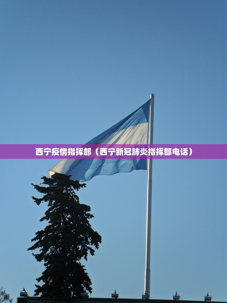 西宁疫情指挥部（西宁新冠肺炎指挥部电话）