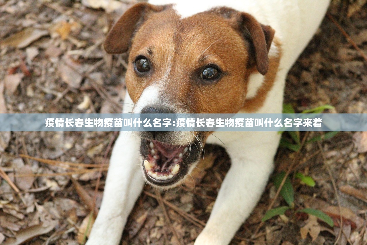 疫情长春生物疫苗叫什么名字:疫情长春生物疫苗叫什么名字来着