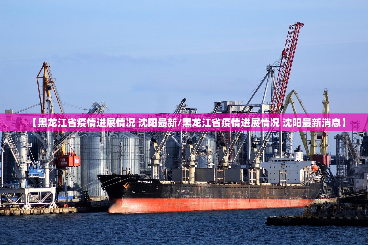 【黑龙江省疫情进展情况 沈阳最新/黑龙江省疫情进展情况 沈阳最新消息】