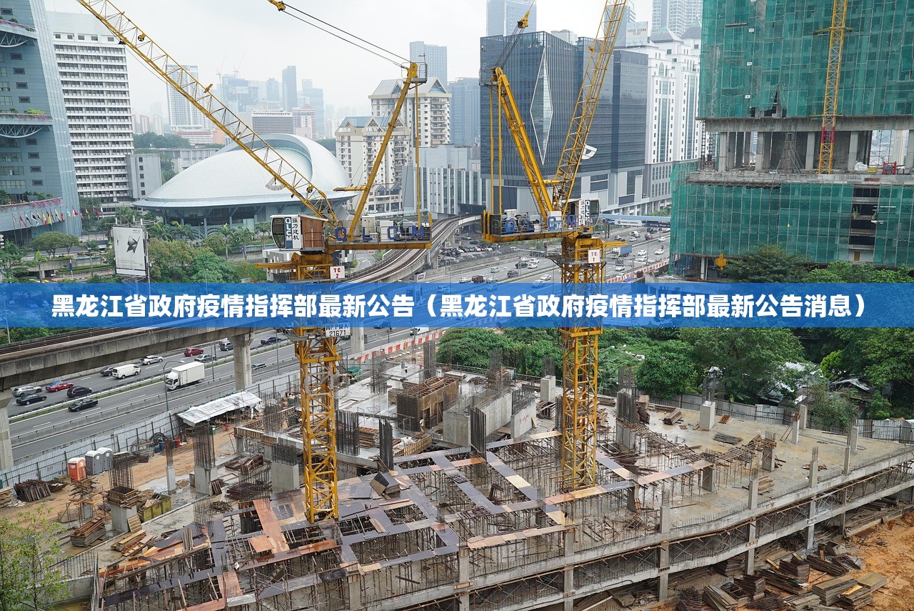 黑龙江省政府疫情指挥部最新公告（黑龙江省政府疫情指挥部最新公告消息）