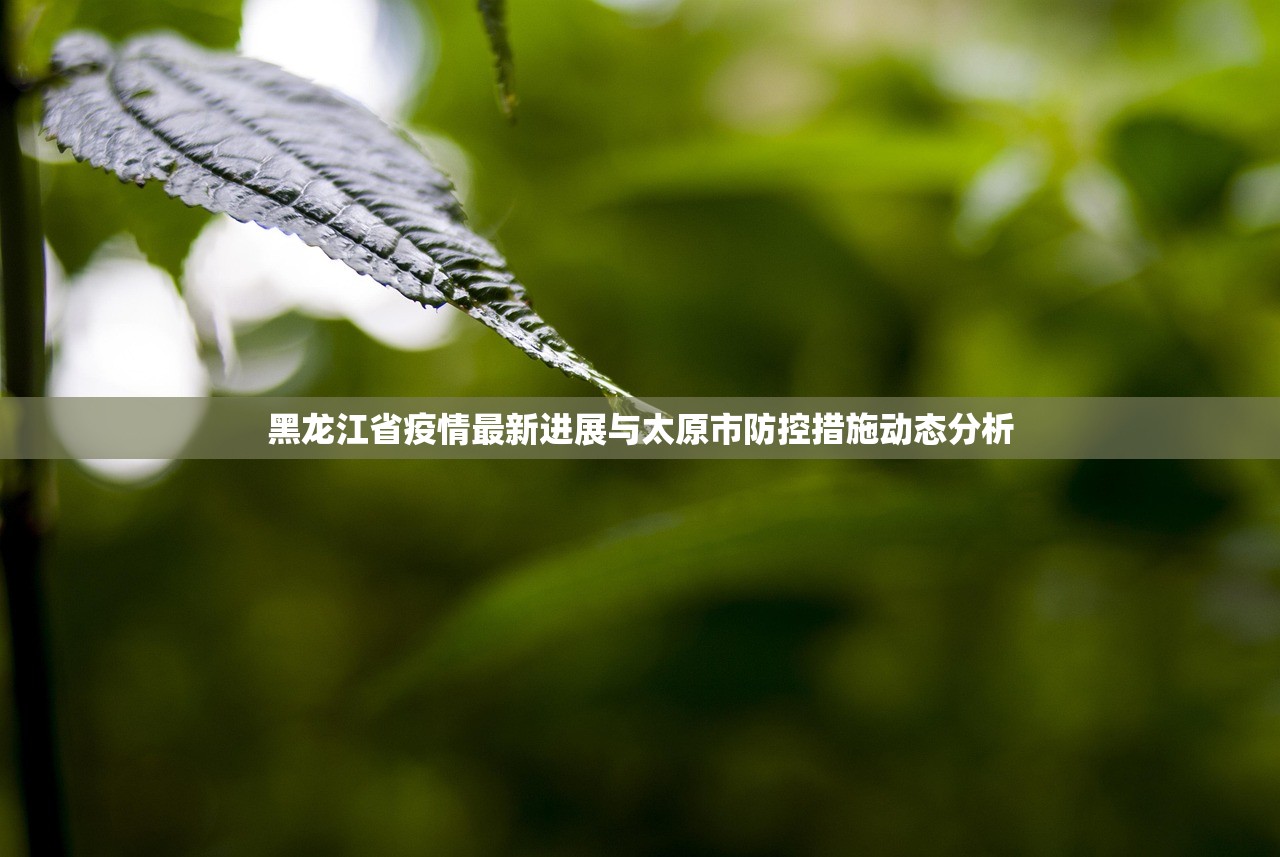 黑龙江省疫情最新进展与太原市防控措施动态分析