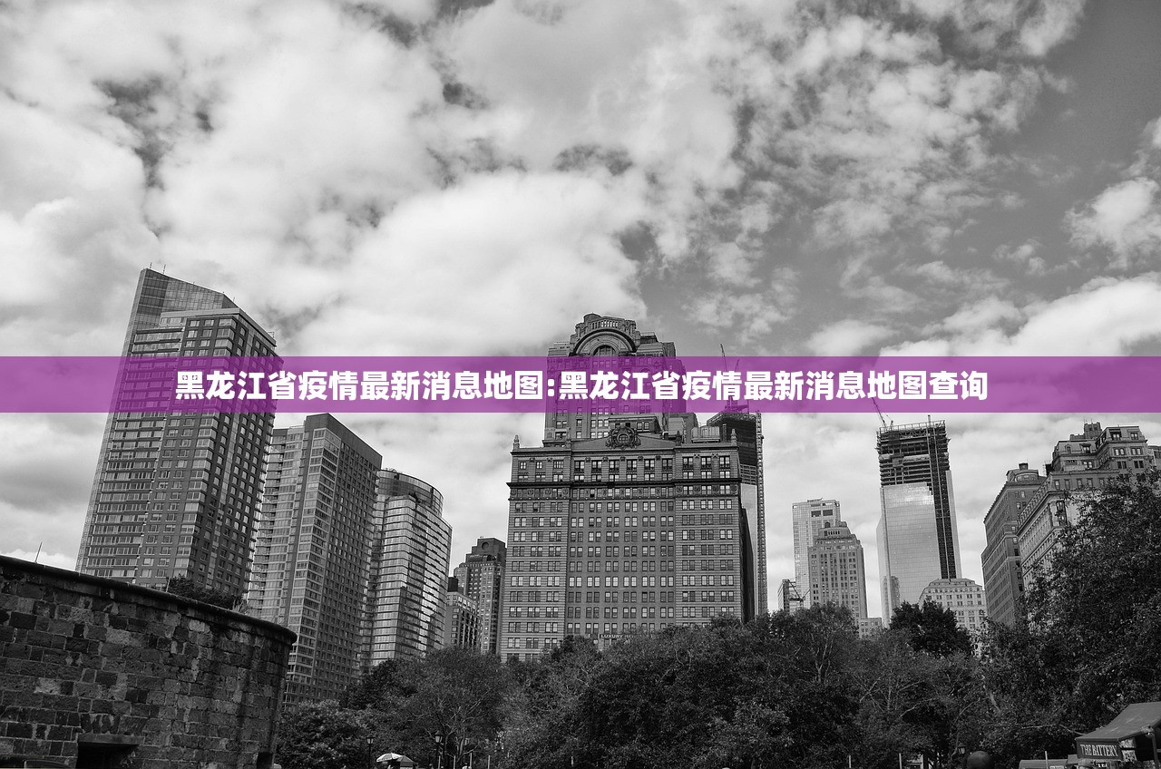黑龙江省疫情最新消息地图:黑龙江省疫情最新消息地图查询