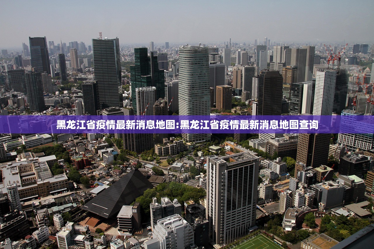 黑龙江省疫情最新消息地图:黑龙江省疫情最新消息地图查询