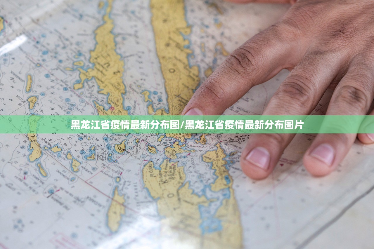 黑龙江省疫情最新分布图/黑龙江省疫情最新分布图片