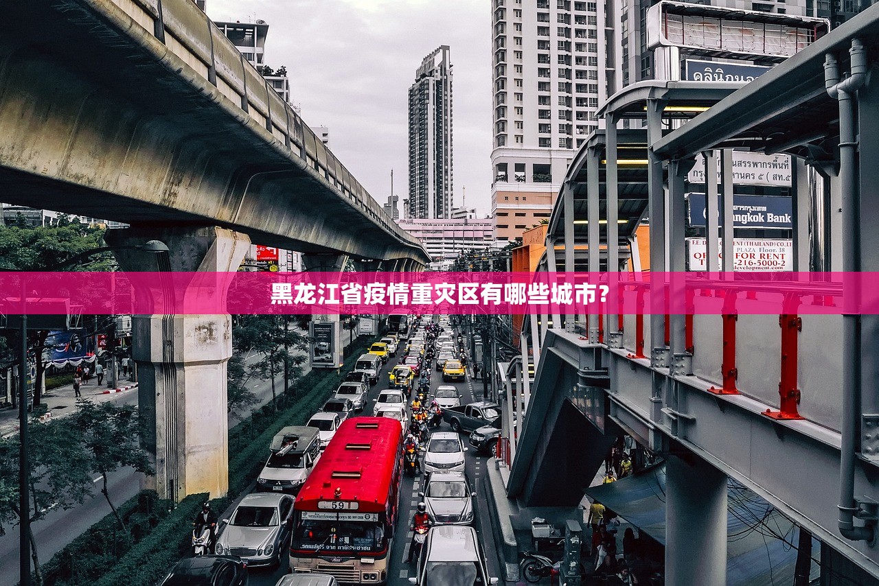 黑龙江省疫情重灾区有哪些城市？